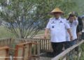 Gubernur Bangka Belitung Punya Cara Baru Hadapi Karhutla, Apa Itu Babel Siaga?