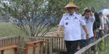 Gubernur Bangka Belitung Punya Cara Baru Hadapi Karhutla, Apa Itu Babel Siaga?