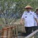 Gubernur Bangka Belitung Punya Cara Baru Hadapi Karhutla, Apa Itu Babel Siaga?