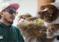 Satwa Liar Babel Terpaksa Keluar Hutan, Karhutla Babel Mengancam Habitat Satwa Endemik