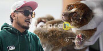 Satwa Liar Babel Terpaksa Keluar Hutan, Karhutla Mengancam Habitat Satwa Endemik