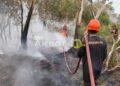 Si Jago Merah Lahap 5 Hektare Lahan Gelam di Beltim, Akses dan Air Jadi Kendala Pemadaman