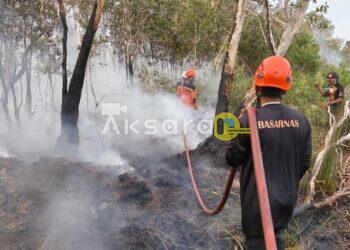 Si Jago Merah Lahap 5 Hektare Lahan Gelam di Beltim, Akses dan Air Jadi Kendala Pemadaman
