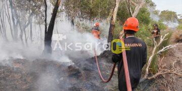Si Jago Merah Lahap 5 Hektare Lahan Gelam di Beltim, Akses dan Air Jadi Kendala Pemadaman