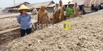 Dari Ikan Segar Jadi Rupiah, Rina Tarol Melihat Potensi UMKM Warga Pesisir Batu Belubang