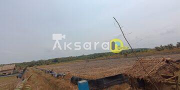 Ironi Proyek Ketahanan Pangan di Batu Betumpang, Petani Keluhkan Air Asin hingga Pintu Air Bocor