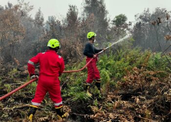 Karhutla Kalbar Meluas, 15 Fire Fighter PT TIMAH Dikerahkan ke Lapangan