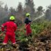 Karhutla Kalbar Meluas, 15 Fire Fighter PT TIMAH Dikerahkan ke Lapangan