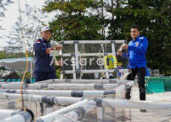 81 Atraktor PT Timah Ditebar di Perairan Bangka
