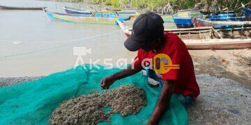 Bukan Hanya Soal Timah, Nasib Nelayan dan Keluarga di Beriga Ikut Dipertaruhkan