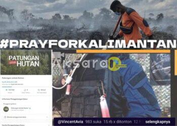 Cuma 1 Jam, YouTuber Vincent Avia Kumpulkan Rp15 Juta untuk Kalimantan